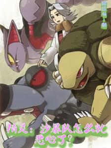 神奇宝贝沙暴队怎么组